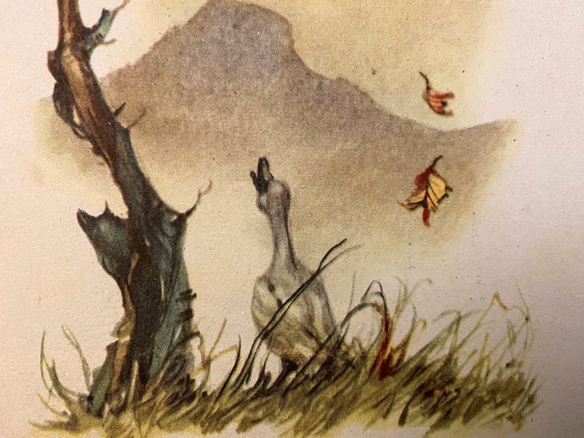 Ugly Duckling book illustration