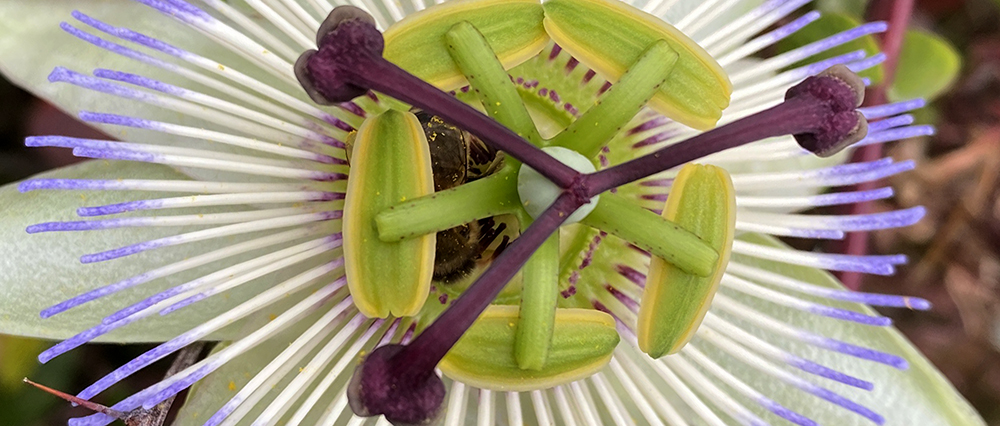 once more, with&nbsp;feeling