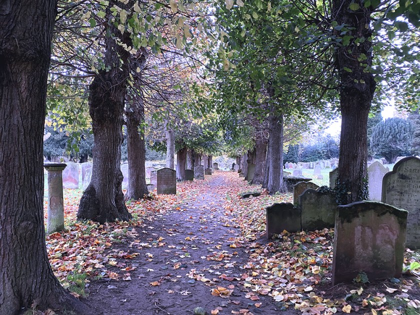 Path through autumn graveyard