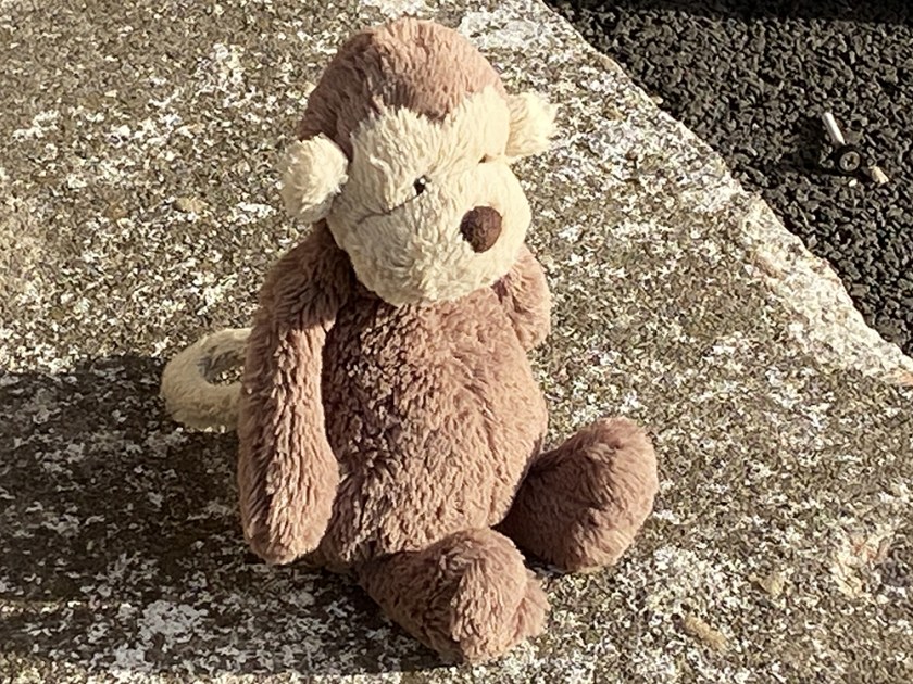 Toy monkey sitting in the sunshine