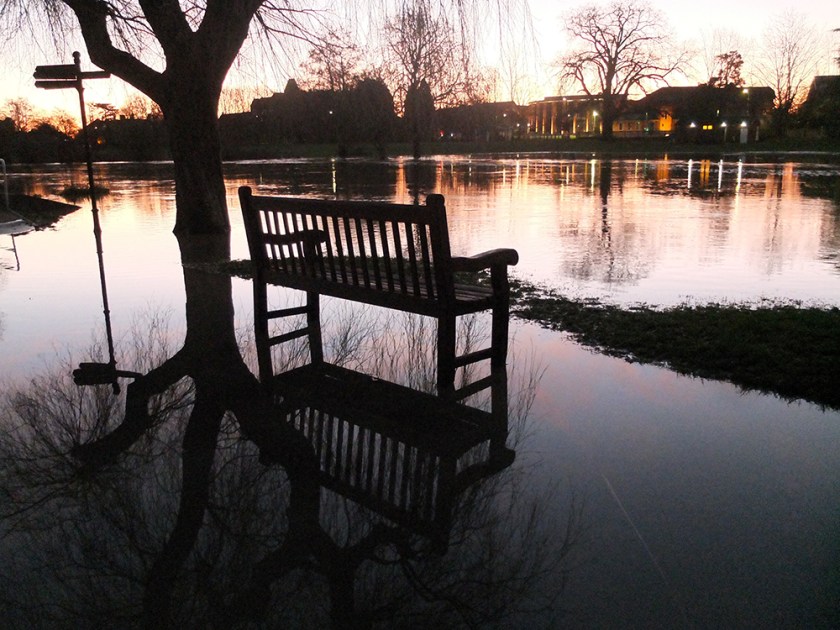 sunrise flooded river reflection
