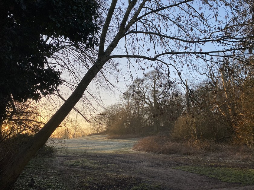Misty and frosty sunrise