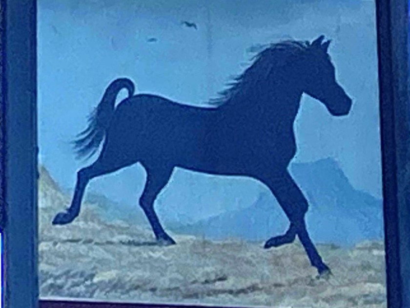 black horse pub sign