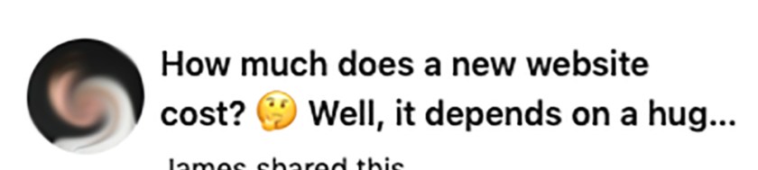 LInkedIn post title cropped short: How much does a new website cost? Well, it depends on a hug