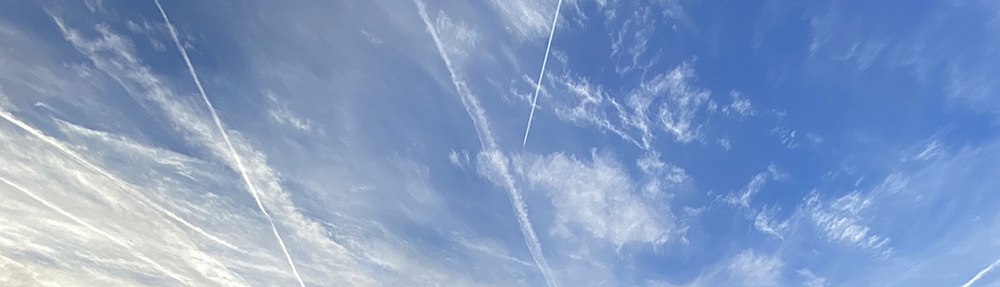 bars, boards &&nbsp;blocks